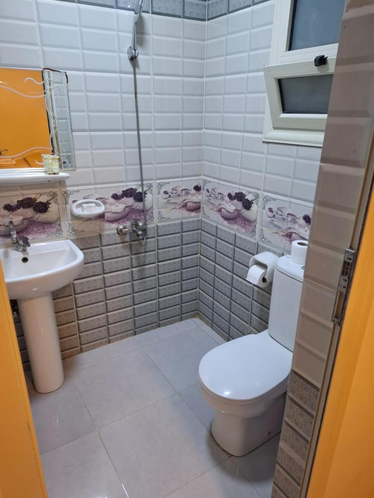 Seror Guest House El Hawamdeya المظهر الخارجي الصورة
